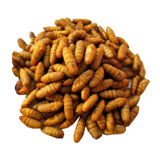 
Silkworm Thailand taste dry Frozen silkworm pupae for sale 