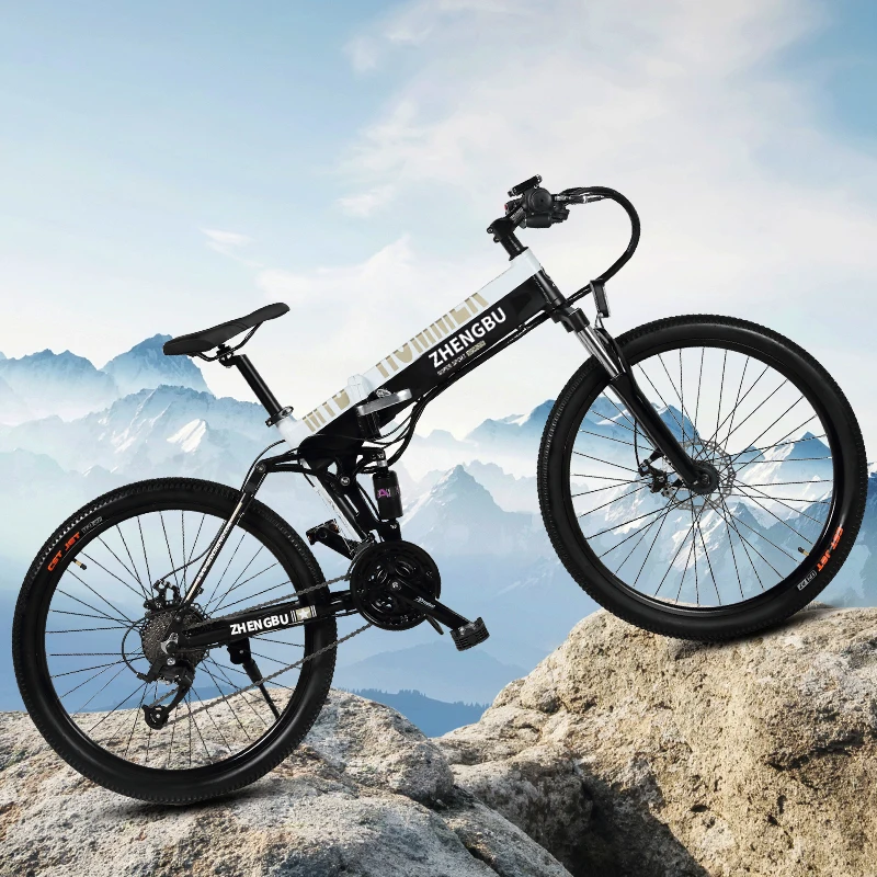 zhengbu electric bike price