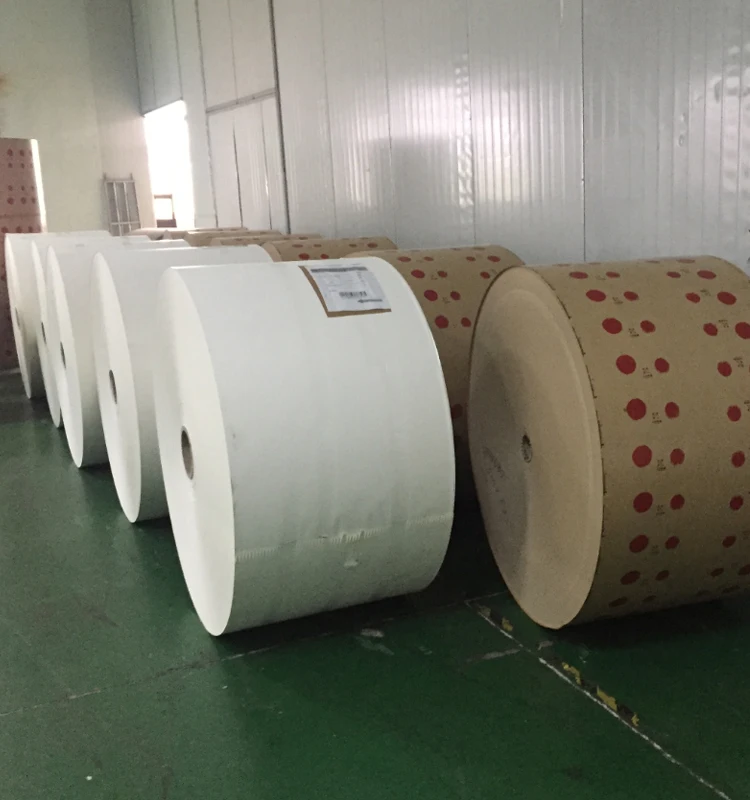 
100% Disposable Biodegradable PE Paper Roll/Sheet/Fan Offset/Flexo Printing Pe Coated Food Packaging Paper 