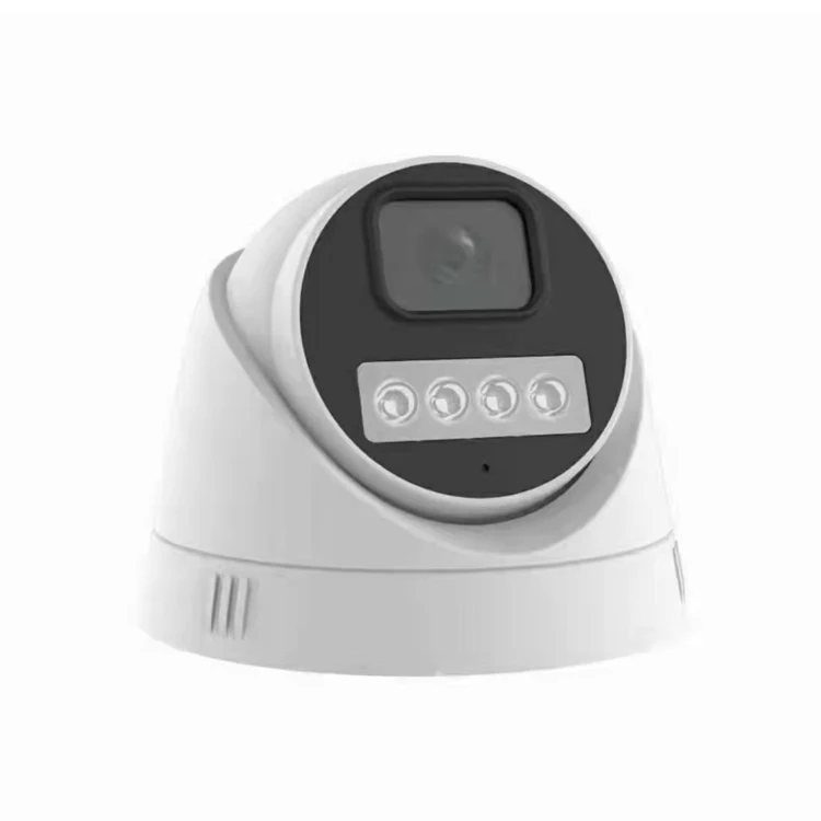 

New White Leds Color Night 30m IR Plastic Dome 4K Camera POE