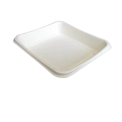 

Custom Biodegradable Tray Eco-Friendly Sugarcane Cake Tray, White
