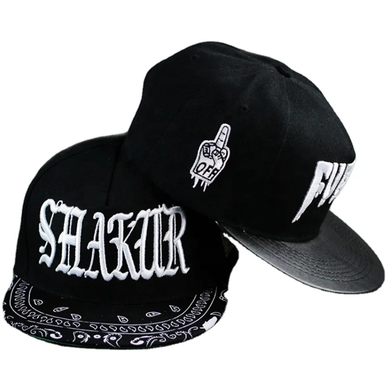 BSCI Audit Custom Embroidery Character Animal 100% Cotton Hip Hop Sports Hat Wholesale Fashion Outdoor Fitted 6 Panel Snapback