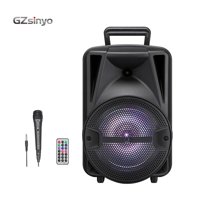 

8INCH hot sell low price outdoor portable speaker system with usb charger, Black