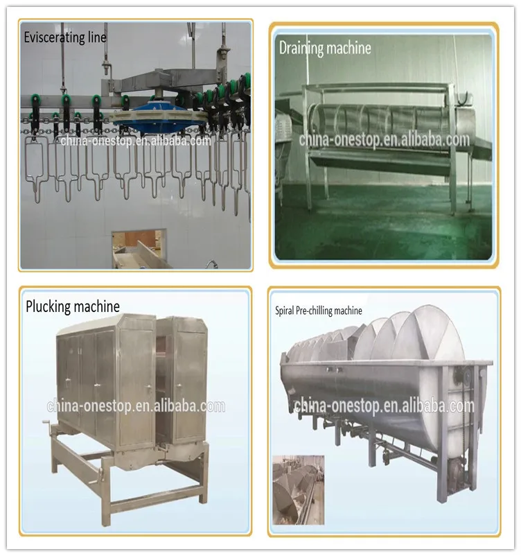 Chicken processing plant equipment Chicken slaughterhouse equipment