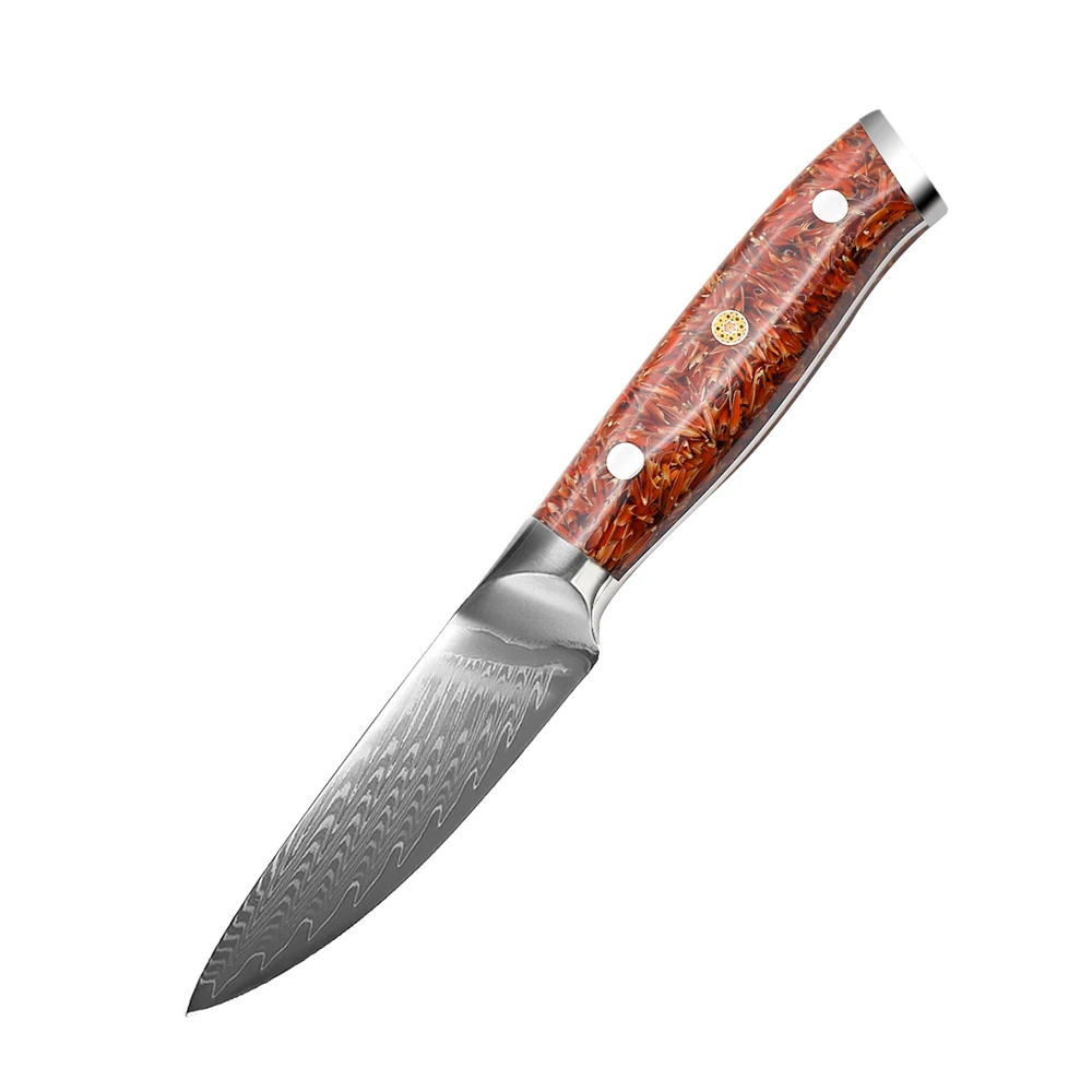 

Chinese factory price 67layers damascus 3.5 inch paring knife