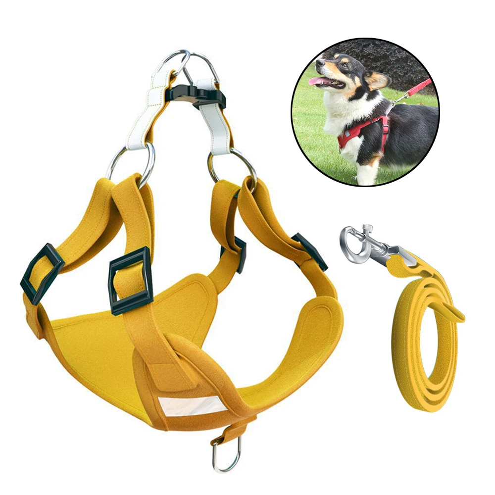 

2022 wholesale new arrival high quality no pull cat Dog Collar and Leash