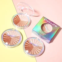 

Sector 5 Colors in 1 Palette Private Label Cosmetics Single Glow Highlight Custom Baked Highlighter Makeup