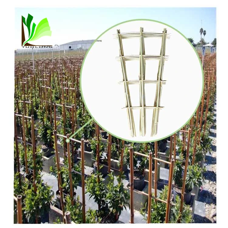 bamboo trellis-01