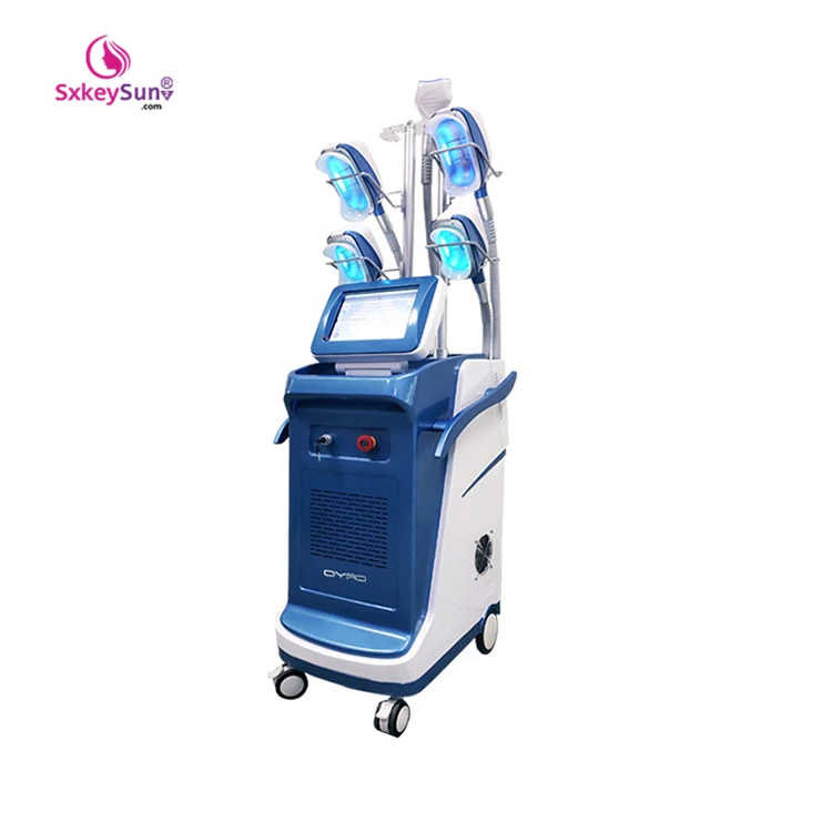 

2021 best slaes fat freezing machine only 5 handles cryolipolysis machine