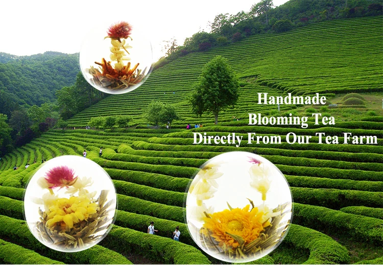 Bloom balls. Чайные бомбочки. Double Happiness Blooming Tea.