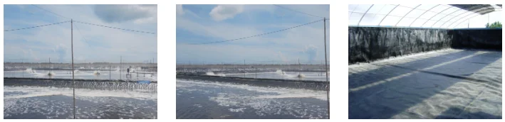Buy hdpe black and white geomembrane biofloc tank circular membrane cover liner sheet