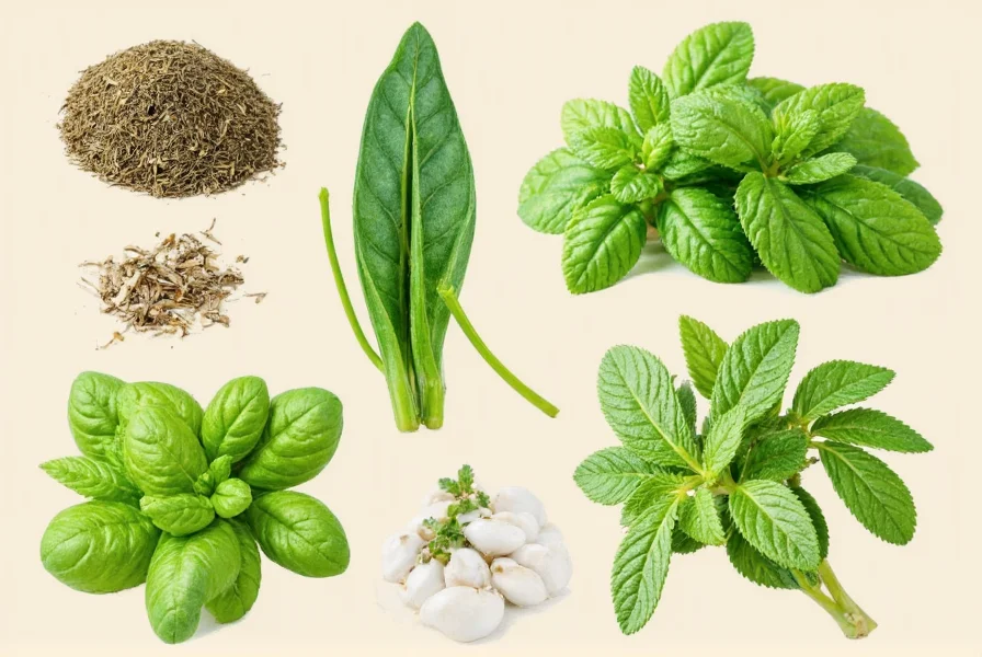 Fresh Basil Leaves