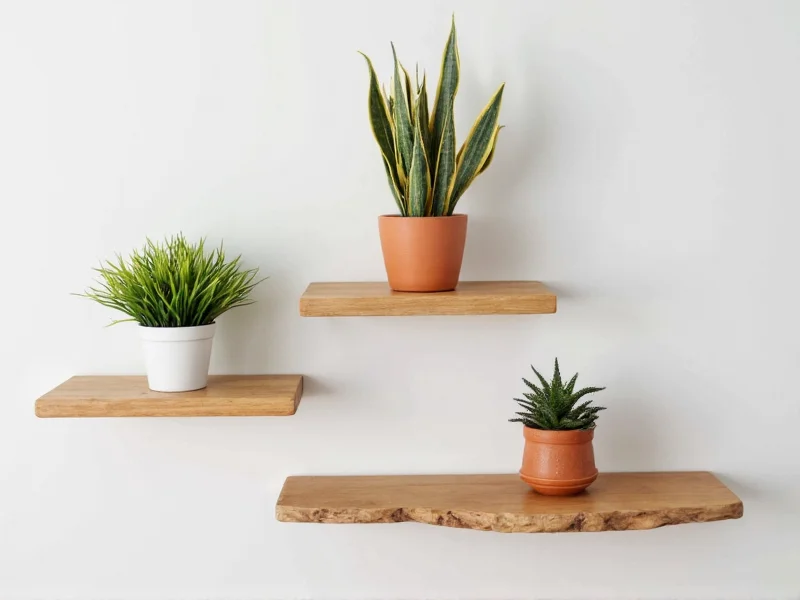 Floating wood shelves with potted plants