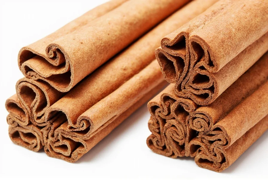 Side-by-side comparison of cassia cinnamon sticks showing thick single-layer quills versus Ceylon cinnamon's delicate multi-layered quills