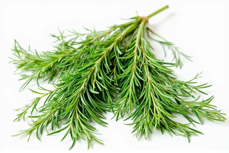 Fresh dill sprigs next to dried dill in measuring spoons showing 3:1 conversion ratio