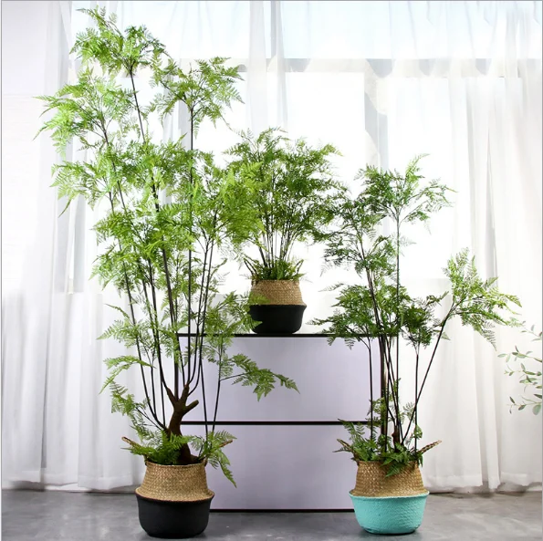 Venta al por mayor plantas altas de exterior-Compre online los mejores