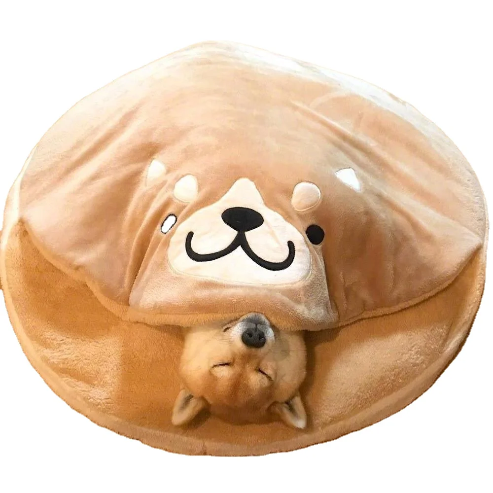 cat sleeps in dog crate