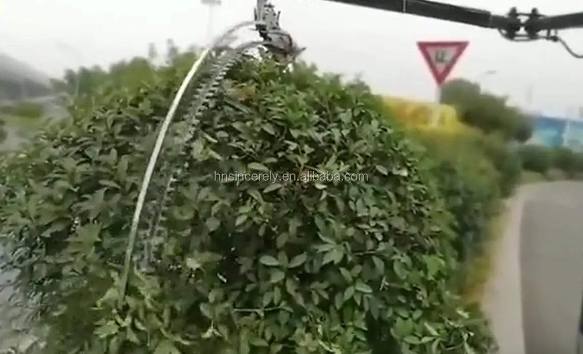 道路の両側にある丸いヒイラギ剪定機 庭の丸い芝生剪定機 球形の植物剪定機 Buy ヘッジトリマ ヘッジカッター 球状ヘッジトリマ Product On Alibaba Com
