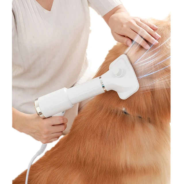 

Hot Selling 2 in 1 Hair Dryer Comb Hot Air Pet Comb Cat Hair Removal Brush