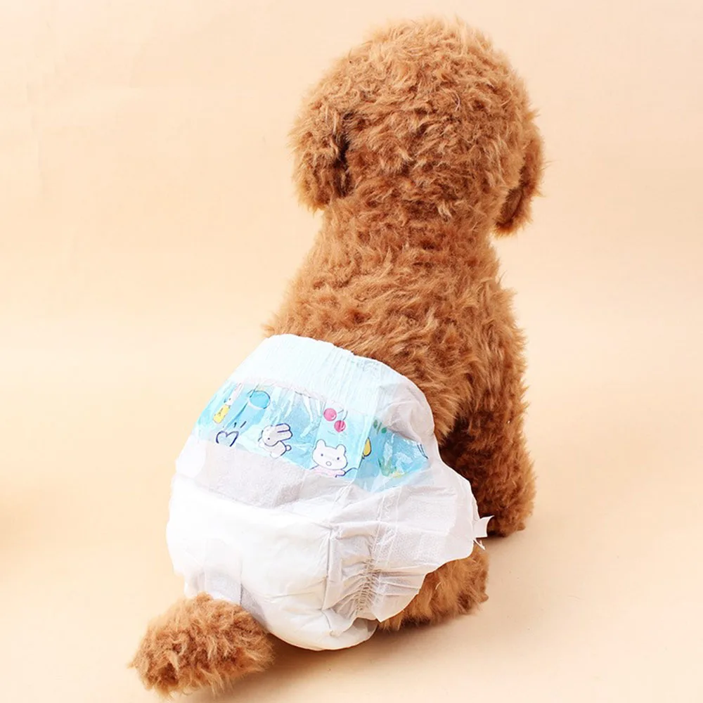 dog diapers price