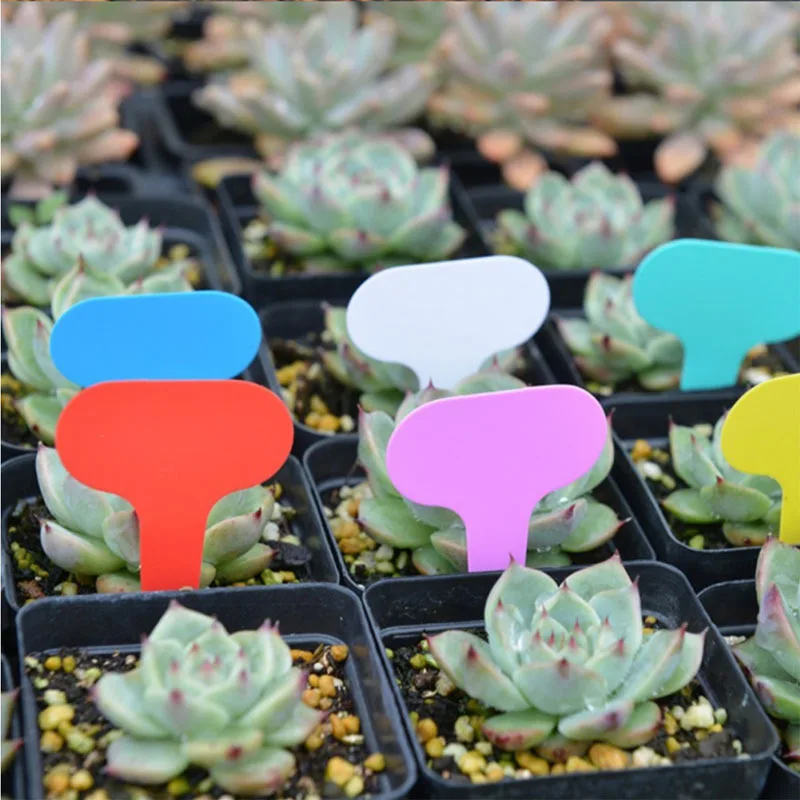 Plastic Plant Markers Plant Tags Nursery Garden Labels 100pcs Gardening
