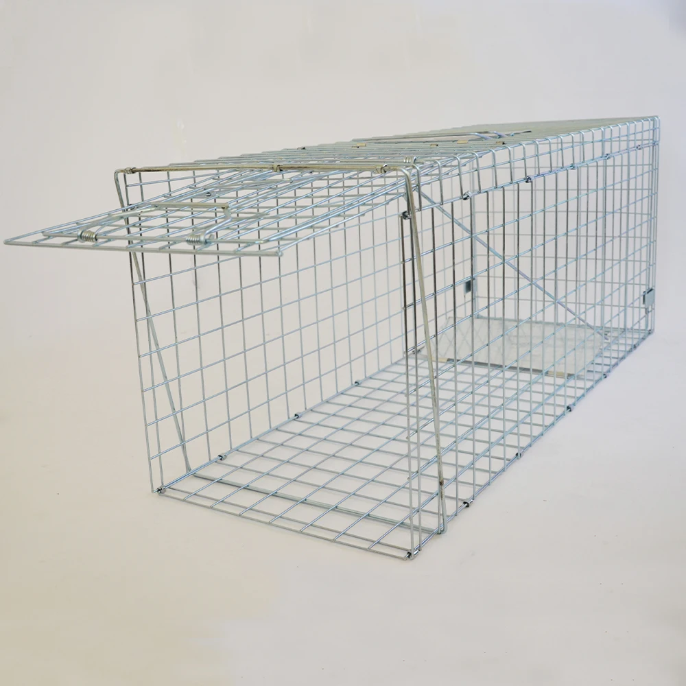 

Metal Fox Trap Cage, Folding Fox Trap Cage,Cage Traps To Trap Fox Control wildlife