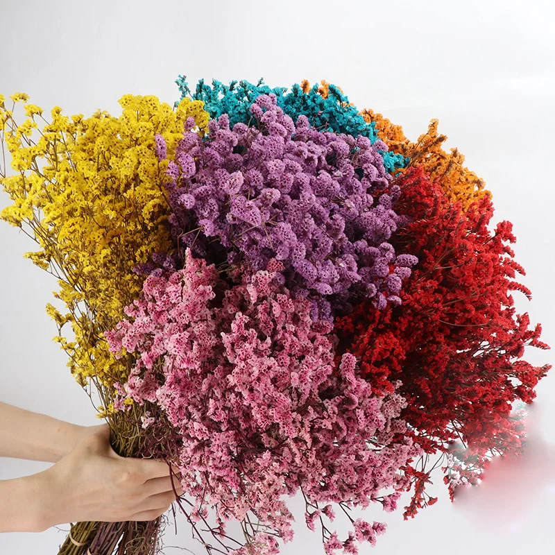 

Preserved crystal grass Household flower arrangement Bouquet materials caspea for diy projects