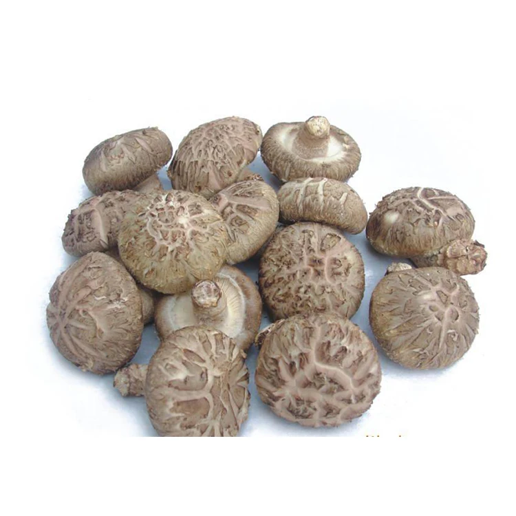 
Whole Champignon Mushrooms Seeds For Sale 