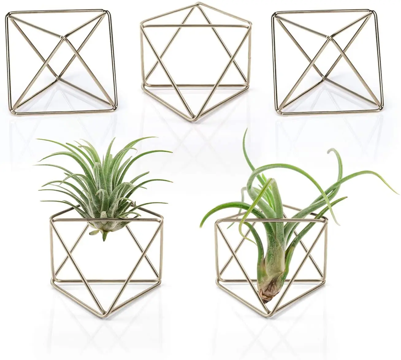 

Geometric planter Metal wall decor Hanging planters Air plant holder, 3 colors