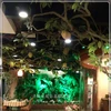 Now the most popular artificial durian tree for outdoor and indoor decoration