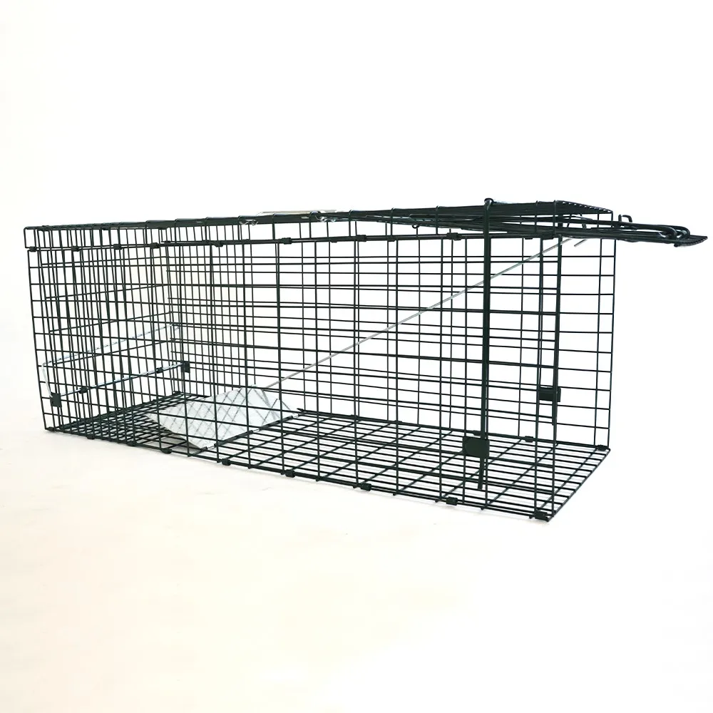 

Professional Grade Steel Outdoor Live Animal Trap Catch Release Humane Rodent Cage