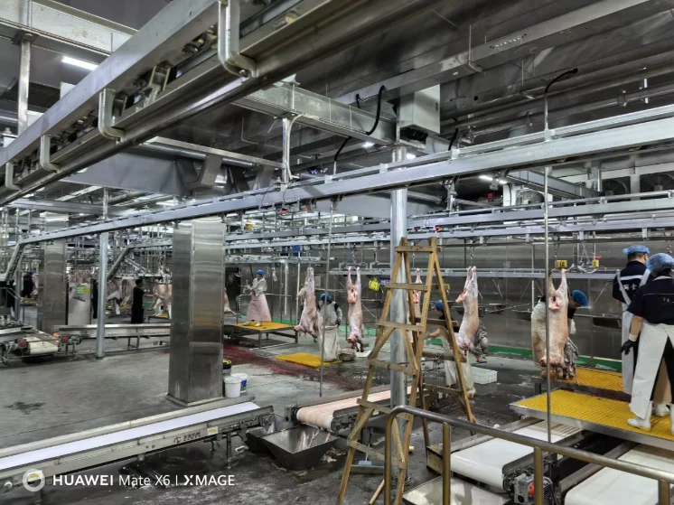 Automatic Halal Sheep Slaughtering Line Complete Goat Abattoir Machine Industrial Sheep Hair RemoveMachine for Meat Plant