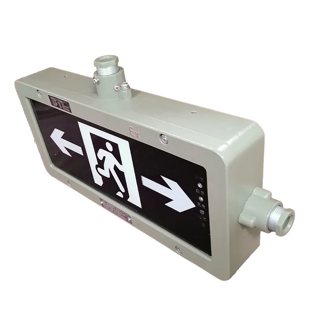 China manufacturer IP65 2W 3W emergency exit lights with battery backup gas station emergency exit sign