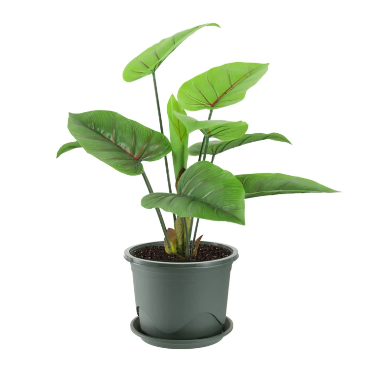 

Cheap Plastic Flower Pots Wholesale Round Green Planting Pots Garden Plastic Flower Pots