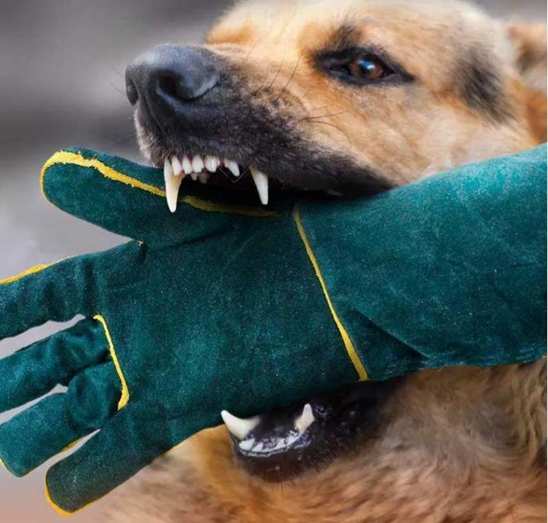 

Pet Animal Handling Gloves Anti Bite Dog Training Gloves Pet Chew Gloves For Reptile Snakes