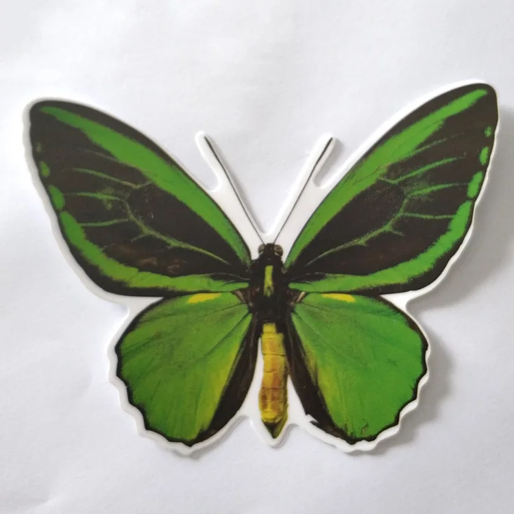 die cut static stickers non-adhesive vinyl butterfly clings for