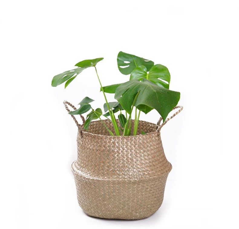 

Natural Sea Grass Woven Foldable Belly Basket with Handle for Storage Flower Plant Pot, Natural brown