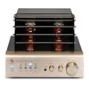 /product-detail/professional-stereo-power-surround-sound-hifi-amplifier-tube-kit-62339779233.html