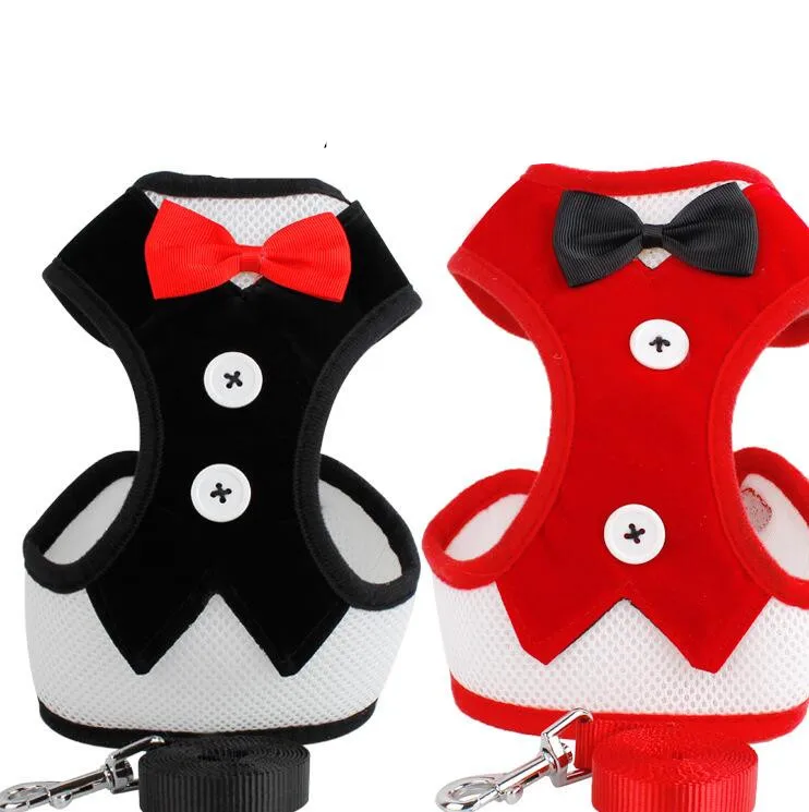 

Fashion Pet Leash Cute Suits dog clothing pet clothes In Manufacturer, As picture