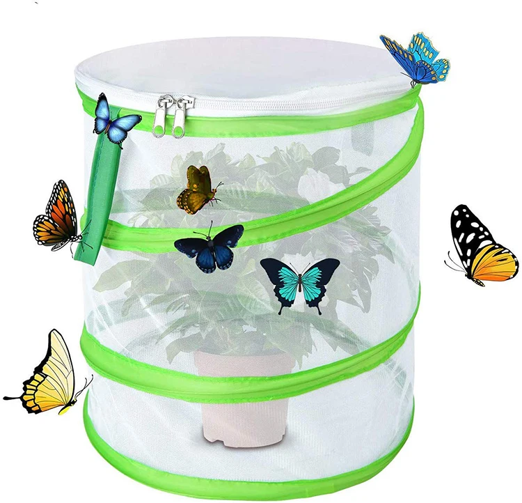 

Mini Butterfly Habitat, Insect Mesh Cage, Bug Terrarium Pop Up 14*15cm Foldable Bird Cages, Black, green