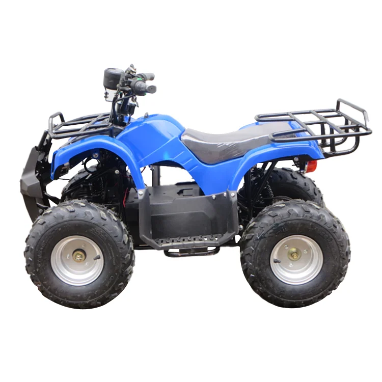 Electric atv