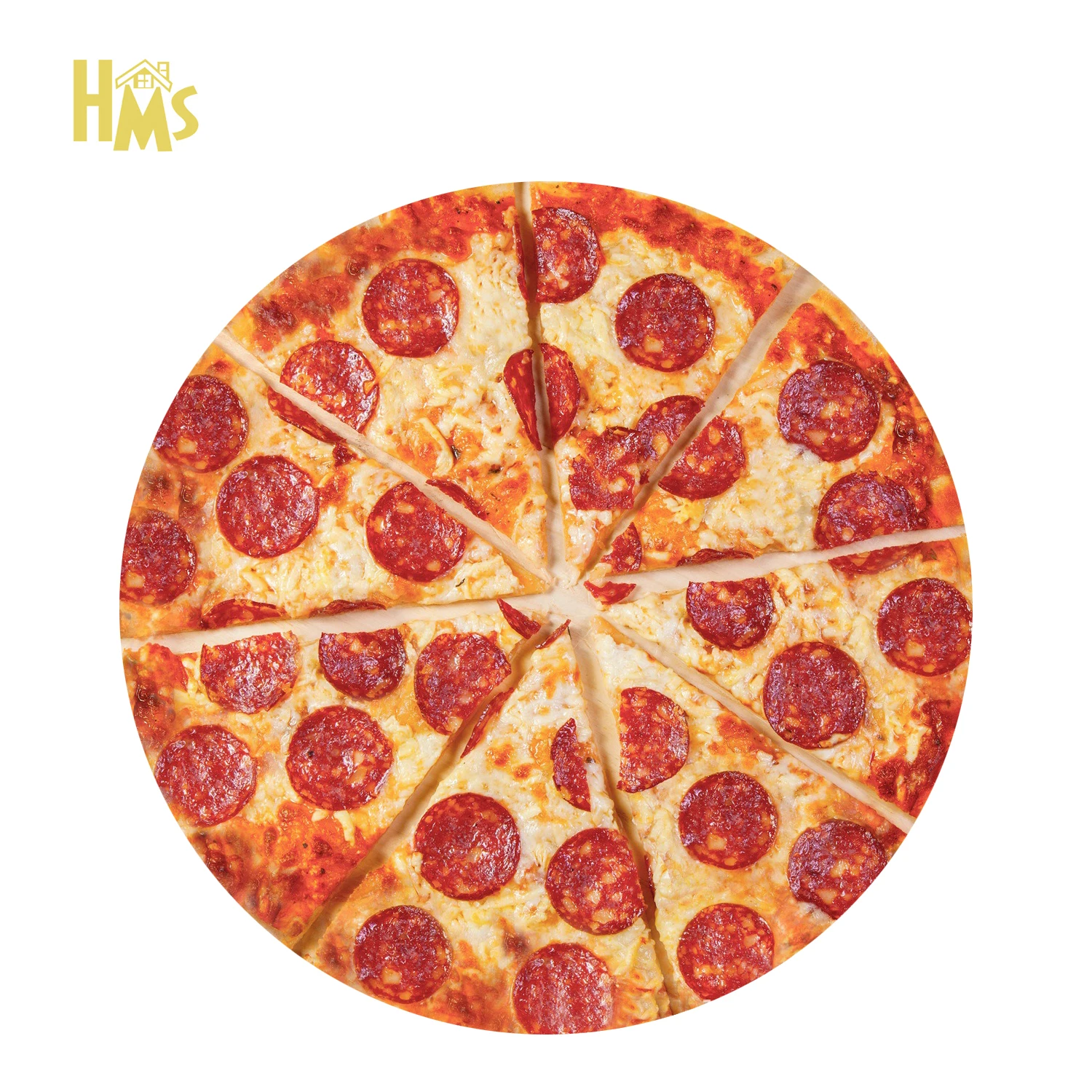 

HMS Pizza Flannel Blanket Sofa Soft Funny Food Blanket Home Bed for Kids Child Dog, Accept customization