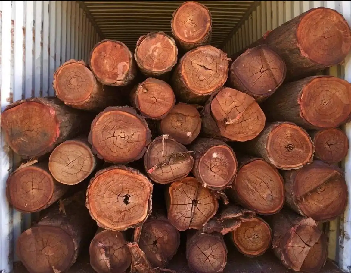 
Australia Lancewood Acacia log trade Best Price fresh cut solid wood furniture raw materials excellent stability 