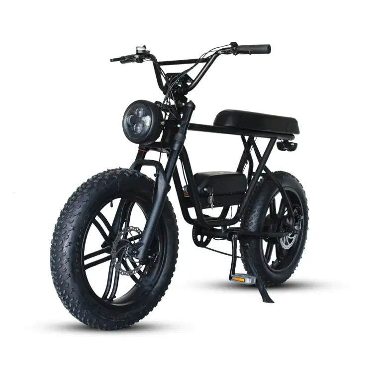 20Inch 48V 750w 1000w Model Ebike Fat Tire Electric Bike Bicicletta Elettrica, Customerized