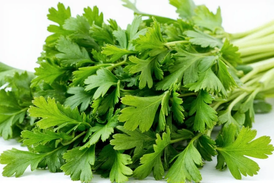 Conclusion on Organic Parsley