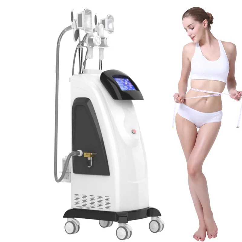 

Cryotherapy Two Cold Cryo Handles Work Fat Freezing Slimming Machine Fat Removal Laser Beauty Equipment