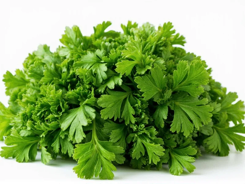 Best Parsley Substitutes: 10 Practical Replacements