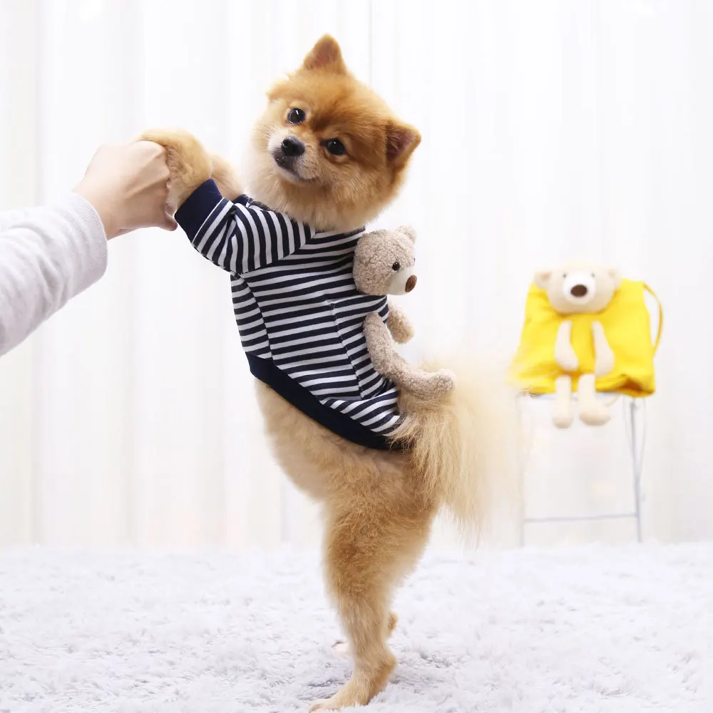 

Net red bear pet clothes autumn and winter with velvet stripe hoodie bear pocket thickened