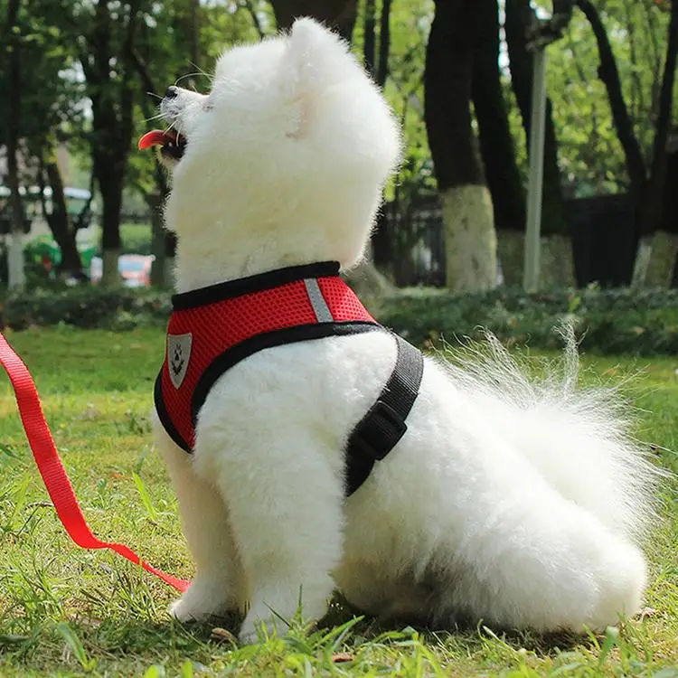 

Pet Dog Cat Puppy Soft Leash Vest Mesh Breathe Dog Leash Harness, Orange/ pink/ black/ red/ blue