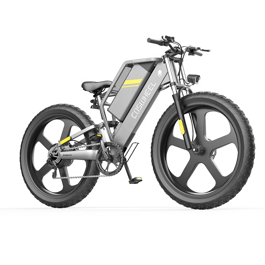 

2021Newest 750 Watt Electric Bike 48v Lithium Battery Step Thru Electric Bicycle 20er Fat Tire E Bike